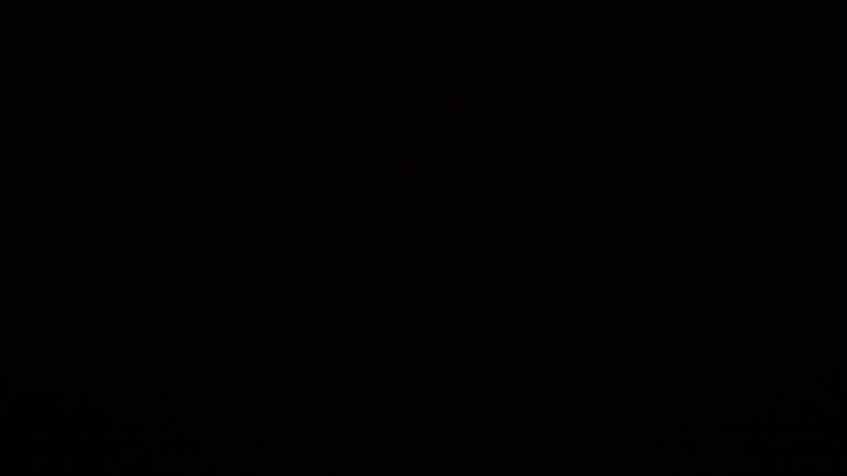 Dieses Bild zeigt eine Webcam-Aufnahme vom Achertal, aufgenommen am Mittwoch, den 26.11.2025 um 02:30 Uhr. Die Temperatur betrug -0.2°C.