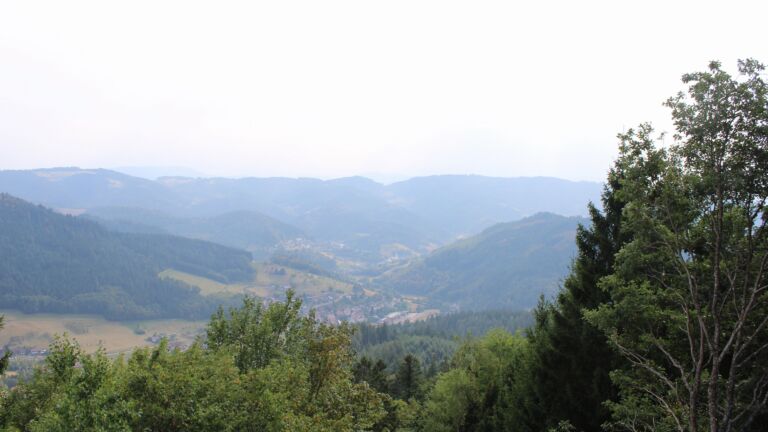 Dieses Bild zeigt eine Webcam-Aufnahme vom Achertal, aufgenommen am Sonntag, den 16.08.2026 um 16:50 Uhr. Die Temperatur betrug 28.6°C.