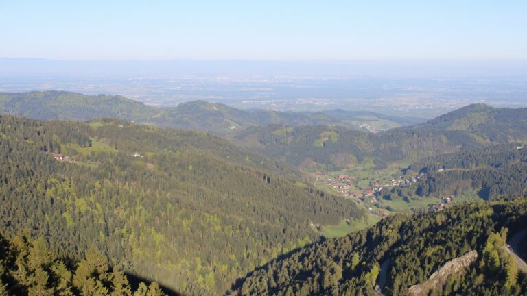 Dieses Bild zeigt eine Webcam-Aufnahme vom Achertal, aufgenommen am Samstag, den 25.04.2026 um 08:00 Uhr. Die Temperatur betrug 14.3°C.