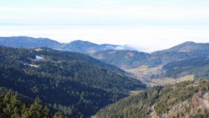 Dieses Bild zeigt eine Webcam-Aufnahme vom Achertal, aufgenommen am Donnerstag, den 05.02.2026 um 12:10 Uhr. Die Temperatur betrug 7.5°C.