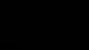 Dieses Bild zeigt eine Webcam-Aufnahme vom Achertal, aufgenommen am Montag, den 13.04.2026 um 22:30 Uhr. Die Temperatur betrug 2.9°C.