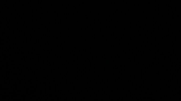 Dieses Bild zeigt eine Webcam-Aufnahme vom Achertal, aufgenommen am Montag, den 13.04.2026 um 22:30 Uhr. Die Temperatur betrug 2.9°C.