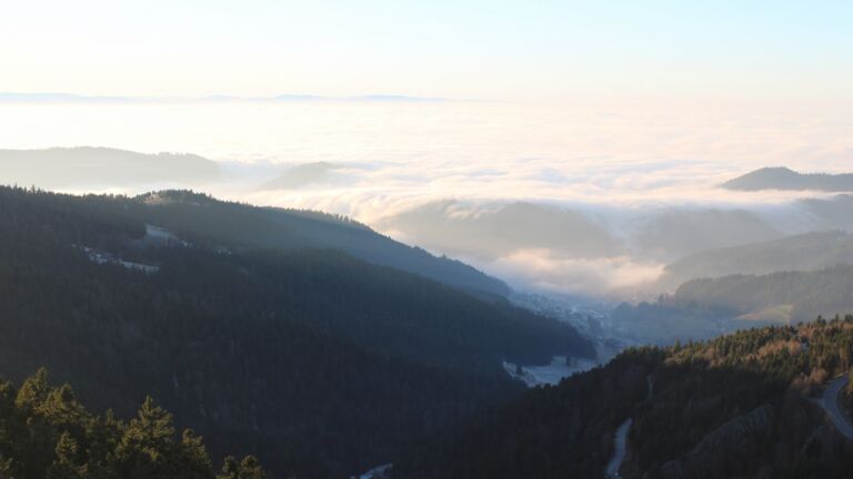 Dieses Bild zeigt eine Webcam-Aufnahme vom Achertal, aufgenommen am Montag, den 29.12.2025 um 16:00 Uhr. Die Temperatur betrug 2.4°C.