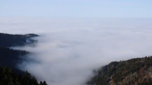 Dieses Bild zeigt eine Webcam-Aufnahme vom Achertal, aufgenommen am Sonntag, den 18.01.2026 um 12:00 Uhr. Die Temperatur betrug 7.8°C.