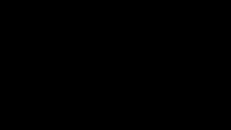 Dieses Bild zeigt eine Webcam-Aufnahme vom Achertal, aufgenommen am Montag, den 26.05.2025 um 01:30 Uhr. Die Temperatur betrug 8.9°C.