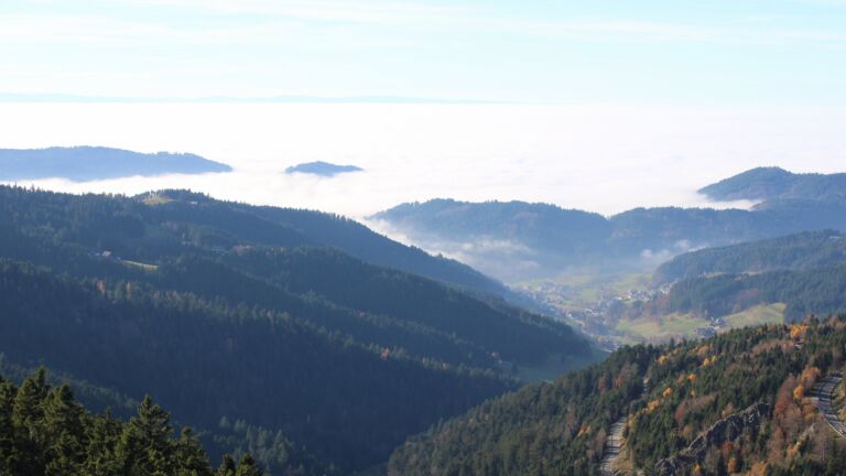 Dieses Bild zeigt eine Webcam-Aufnahme vom Achertal, aufgenommen am Freitag, den 07.11.2025 um 14:20 Uhr. Die Temperatur betrug 11.4°C.