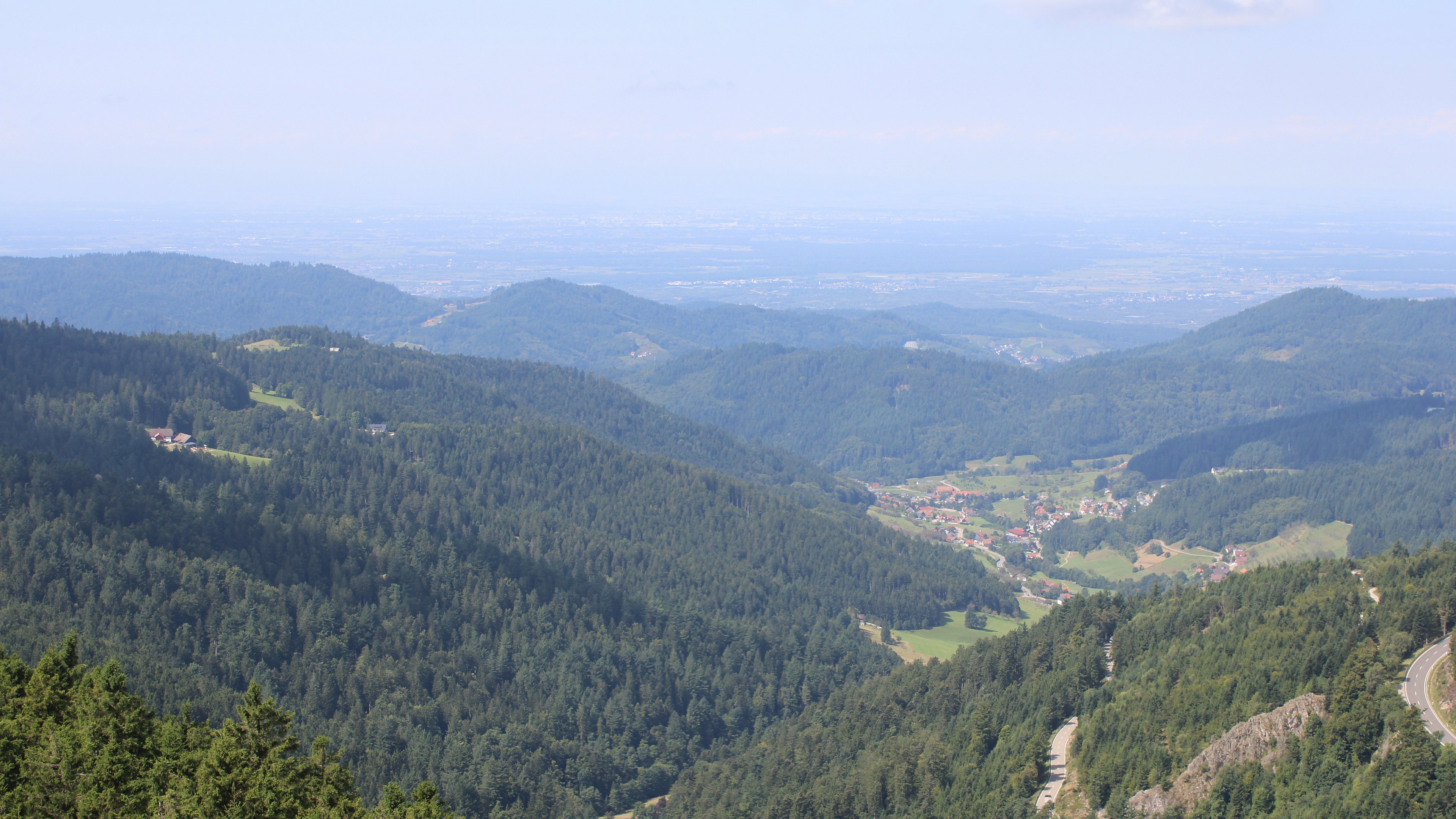 Zum Fotoarchiv vom Freitag, 22. August 2025
