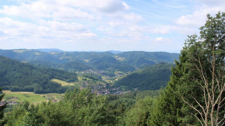 Dieses Bild zeigt eine Webcam-Aufnahme vom Achertal, aufgenommen am Montag, den 06.07.2026 um 11:20 Uhr. Die Temperatur betrug 21.1°C.