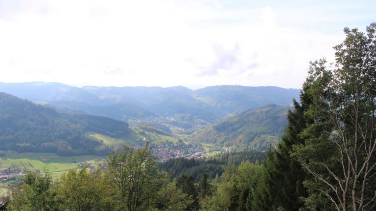 Dieses Bild zeigt eine Webcam-Aufnahme vom Achertal, aufgenommen am Mittwoch, den 14.10.2026 um 12:50 Uhr. Die Temperatur betrug 15.9°C.