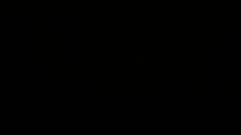 Dieses Bild zeigt eine Webcam-Aufnahme vom Achertal, aufgenommen am Freitag, den 24.10.2025 um 06:20 Uhr. Die Temperatur betrug -0.2°C.