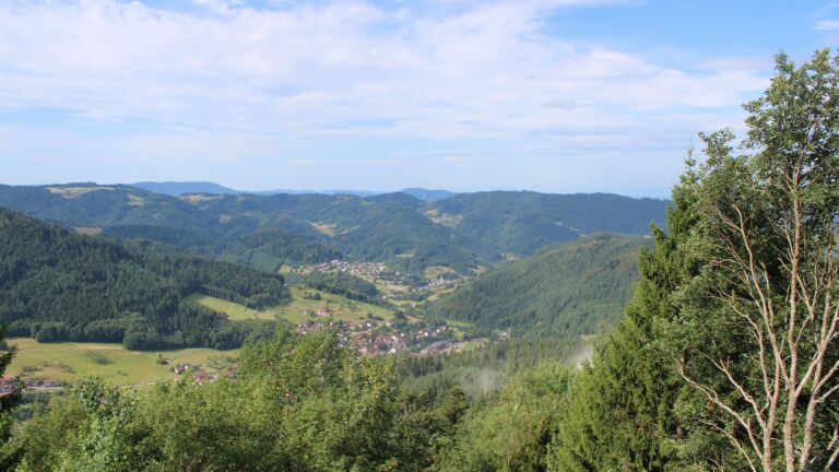 Dieses Bild zeigt eine Webcam-Aufnahme vom Achertal, aufgenommen am Freitag, den 17.07.2026 um 09:50 Uhr. Die Temperatur betrug 24.5°C.