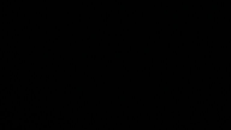 Dieses Bild zeigt eine Webcam-Aufnahme vom Achertal, aufgenommen am Sonntag, den 10.05.2026 um 22:30 Uhr. Die Temperatur betrug 9.4°C.