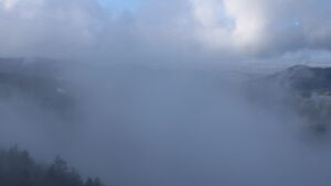 Dieses Bild zeigt eine Webcam-Aufnahme vom Achertal, aufgenommen am Samstag, den 07.02.2026 um 11:50 Uhr. Die Temperatur betrug 7°C.