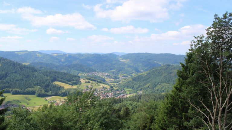 Dieses Bild zeigt eine Webcam-Aufnahme vom Achertal, aufgenommen am Montag, den 15.06.2026 um 11:30 Uhr. Die Temperatur betrug 15.8°C.