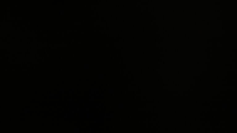 Dieses Bild zeigt eine Webcam-Aufnahme vom Achertal, aufgenommen am Donnerstag, den 20.11.2025 um 20:30 Uhr. Die Temperatur betrug -4°C.