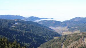 Dieses Bild zeigt eine Webcam-Aufnahme vom Achertal, aufgenommen am Sonntag, den 08.02.2026 um 11:50 Uhr. Die Temperatur betrug 4.4°C.