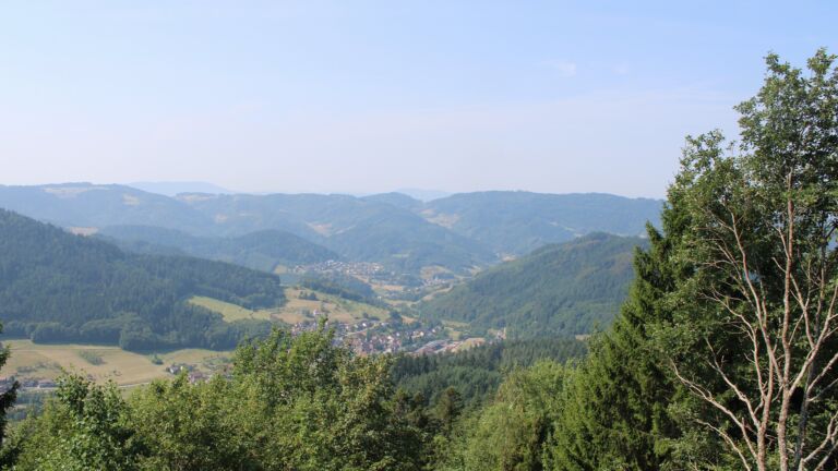 Dieses Bild zeigt eine Webcam-Aufnahme vom Achertal, aufgenommen am Freitag, den 31.07.2026 um 11:20 Uhr. Die Temperatur betrug 28.4°C.