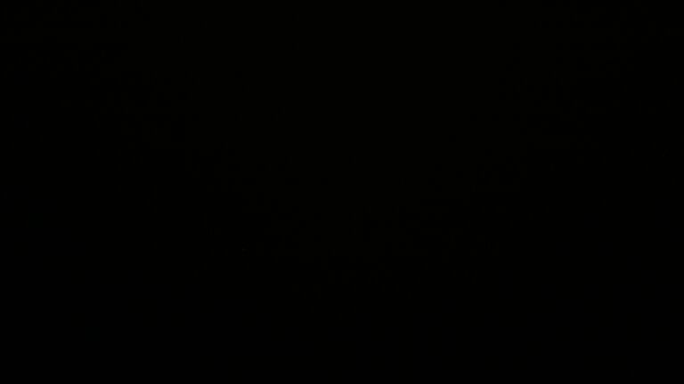 Dieses Bild zeigt eine Webcam-Aufnahme vom Achertal, aufgenommen am Samstag, den 29.11.2025 um 02:30 Uhr. Die Temperatur betrug 3.6°C.