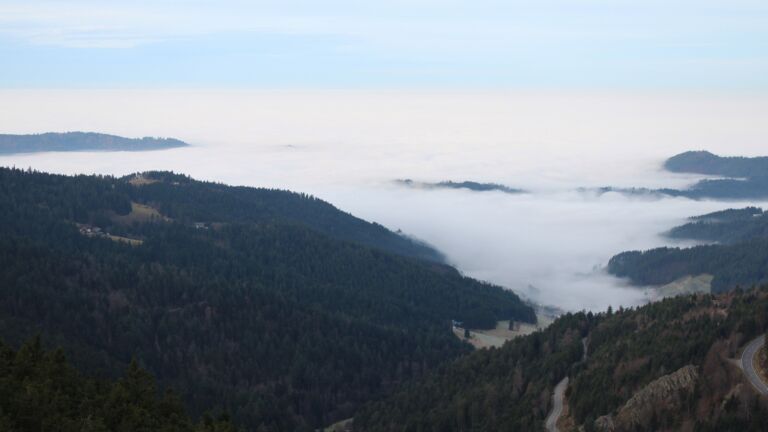 Dieses Bild zeigt eine Webcam-Aufnahme vom Achertal, aufgenommen am Montag, den 22.12.2025 um 09:00 Uhr. Die Temperatur betrug 6.9°C.