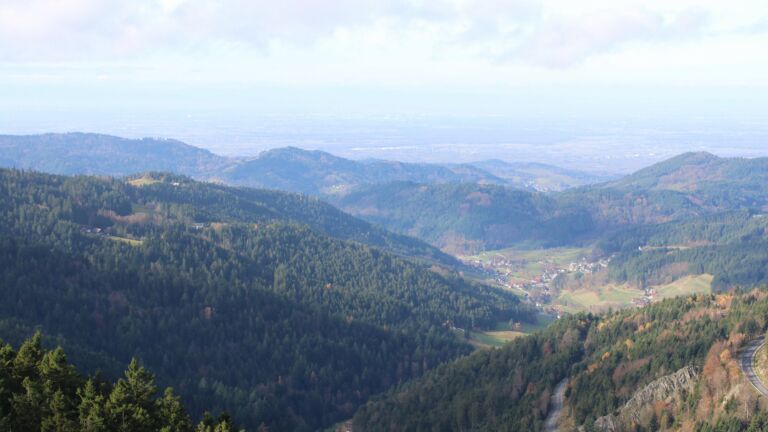 Dieses Bild zeigt eine Webcam-Aufnahme vom Achertal, aufgenommen am Dienstag, den 11.11.2025 um 11:20 Uhr. Die Temperatur betrug 6.8°C.