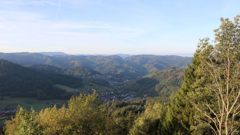 Dieses Bild zeigt eine Webcam-Aufnahme vom Achertal, aufgenommen am Donnerstag, den 15.10.2026 um 08:50 Uhr. Die Temperatur betrug 12.9°C.