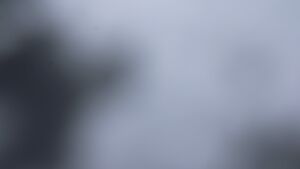 Dieses Bild zeigt eine Webcam-Aufnahme vom Achertal, aufgenommen am Donnerstag, den 20.11.2025 um 12:50 Uhr. Die Temperatur betrug -3.2°C.