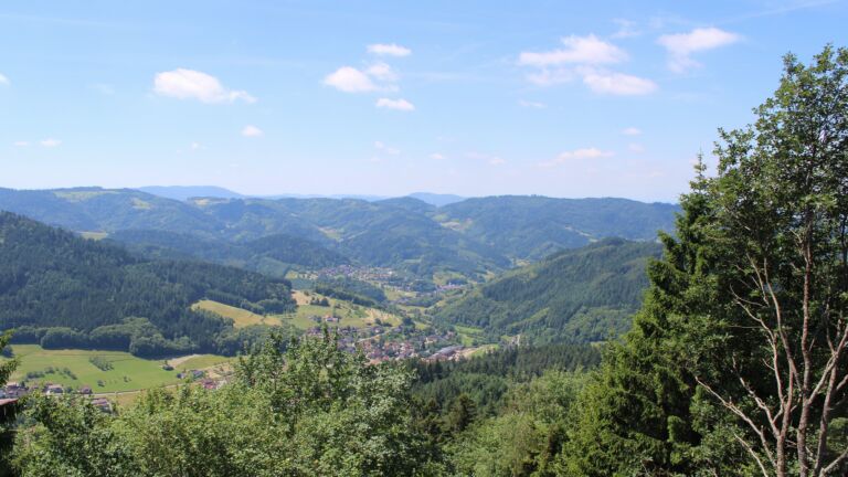 Dieses Bild zeigt eine Webcam-Aufnahme vom Achertal, aufgenommen am Montag, den 15.06.2026 um 12:30 Uhr. Die Temperatur betrug 15.8°C.