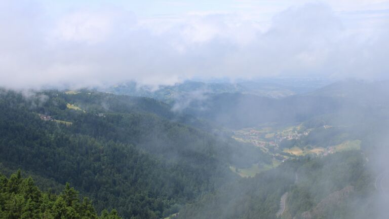 Dieses Bild zeigt eine Webcam-Aufnahme vom Achertal, aufgenommen am Sonntag, den 15.06.2025 um 12:50 Uhr. Die Temperatur betrug 17°C.