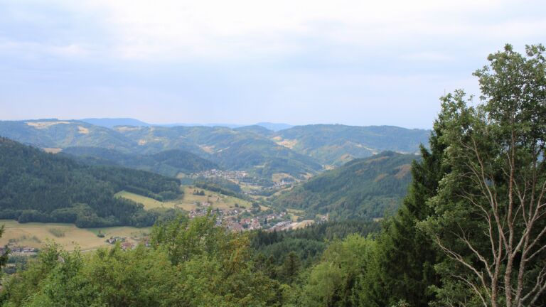 Dieses Bild zeigt eine Webcam-Aufnahme vom Achertal, aufgenommen am Samstag, den 15.08.2026 um 11:10 Uhr. Die Temperatur betrug 27°C.