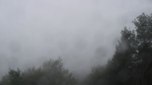 Dieses Bild zeigt eine Webcam-Aufnahme vom Achertal, aufgenommen am Mittwoch, den 16.09.2026 um 11:10 Uhr. Die Temperatur betrug 13.9°C.