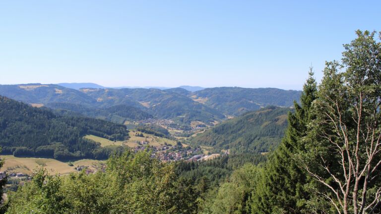 Dieses Bild zeigt eine Webcam-Aufnahme vom Achertal, aufgenommen am Donnerstag, den 13.08.2026 um 12:10 Uhr. Die Temperatur betrug 31.7°C.