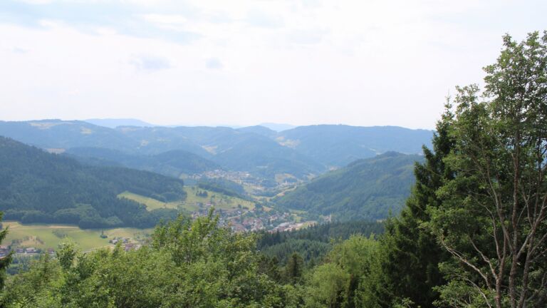 Dieses Bild zeigt eine Webcam-Aufnahme vom Achertal, aufgenommen am Mittwoch, den 15.07.2026 um 14:20 Uhr. Die Temperatur betrug 27.1°C.