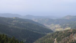 Dieses Bild zeigt eine Webcam-Aufnahme vom Achertal, aufgenommen am Samstag, den 15.11.2025 um 13:00 Uhr. Die Temperatur betrug 11.4°C.