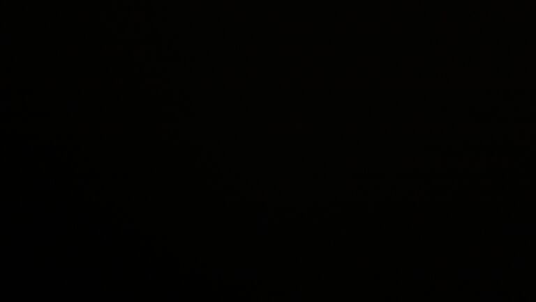 Dieses Bild zeigt eine Webcam-Aufnahme vom Achertal, aufgenommen am Freitag, den 06.02.2026 um 22:00 Uhr. Die Temperatur betrug 2.9°C.