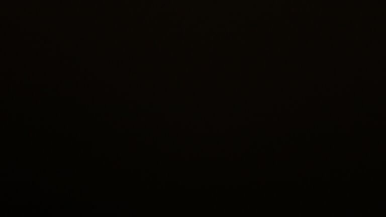 Dieses Bild zeigt eine Webcam-Aufnahme vom Achertal, aufgenommen am Montag, den 13.04.2026 um 04:50 Uhr. Die Temperatur betrug 2.4°C.