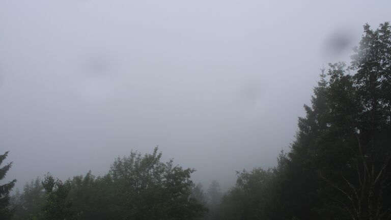Dieses Bild zeigt eine Webcam-Aufnahme vom Achertal, aufgenommen am Mittwoch, den 01.07.2026 um 07:50 Uhr. Die Temperatur betrug 16.7°C.