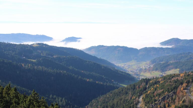 Dieses Bild zeigt eine Webcam-Aufnahme vom Achertal, aufgenommen am Freitag, den 07.11.2025 um 14:00 Uhr. Die Temperatur betrug 12.2°C.