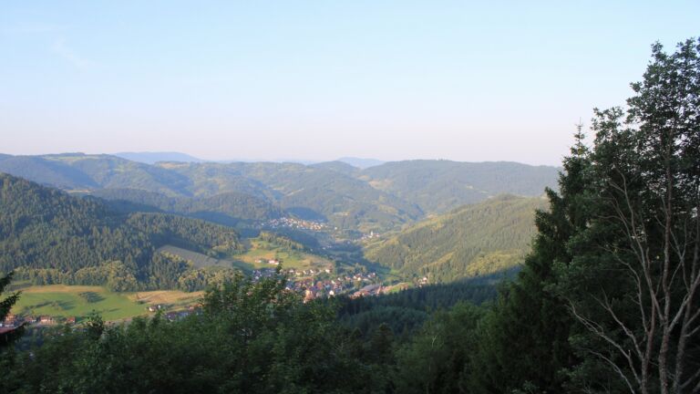 Dieses Bild zeigt eine Webcam-Aufnahme vom Achertal, aufgenommen am Dienstag, den 23.06.2026 um 06:50 Uhr. Die Temperatur betrug 25°C.