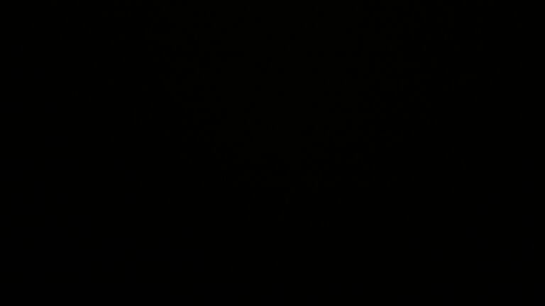 Dieses Bild zeigt eine Webcam-Aufnahme vom Achertal, aufgenommen am Mittwoch, den 22.10.2025 um 03:00 Uhr. Die Temperatur betrug 8.2°C.