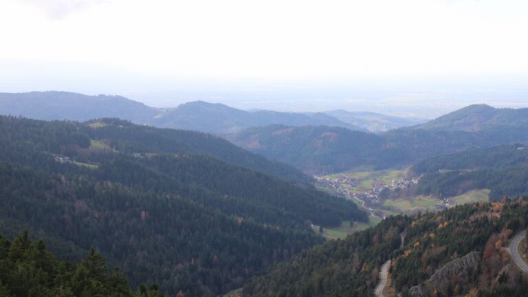 Dieses Bild zeigt eine Webcam-Aufnahme vom Achertal, aufgenommen am Dienstag, den 11.11.2025 um 14:50 Uhr. Die Temperatur betrug 8°C.