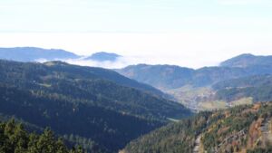 Dieses Bild zeigt eine Webcam-Aufnahme vom Achertal, aufgenommen am Freitag, den 07.11.2025 um 12:50 Uhr. Die Temperatur betrug 11.4°C.