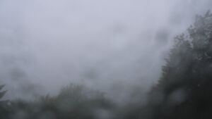 Dieses Bild zeigt eine Webcam-Aufnahme vom Achertal, aufgenommen am Freitag, den 12.06.2026 um 12:50 Uhr. Die Temperatur betrug 10.9°C.