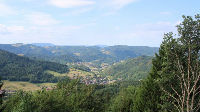 Dieses Bild zeigt eine Webcam-Aufnahme vom Achertal, aufgenommen am Mittwoch, den 05.08.2026 um 10:10 Uhr. Die Temperatur betrug 24°C.