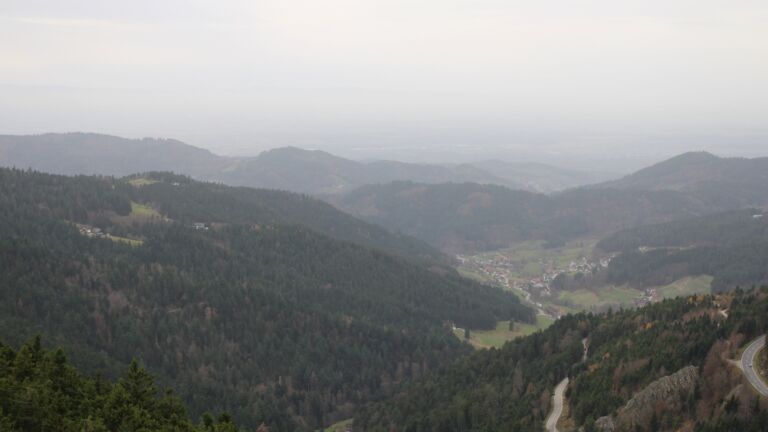 Dieses Bild zeigt eine Webcam-Aufnahme vom Achertal, aufgenommen am Freitag, den 14.11.2025 um 14:50 Uhr. Die Temperatur betrug 16.2°C.