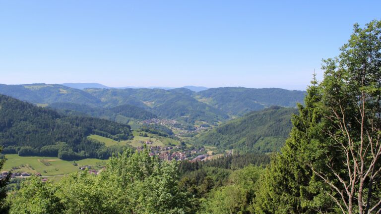 Dieses Bild zeigt eine Webcam-Aufnahme vom Achertal, aufgenommen am Samstag, den 23.05.2026 um 11:30 Uhr. Die Temperatur betrug 24°C.