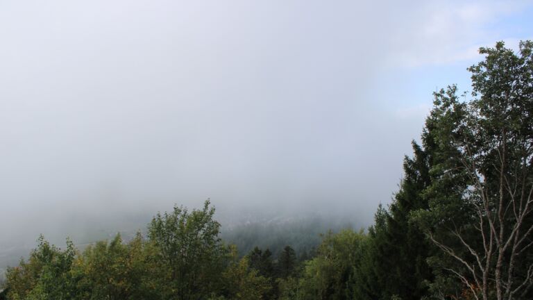 Dieses Bild zeigt eine Webcam-Aufnahme vom Achertal, aufgenommen am Freitag, den 02.10.2026 um 12:00 Uhr. Die Temperatur betrug 17.3°C.