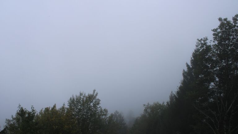 Dieses Bild zeigt eine Webcam-Aufnahme vom Achertal, aufgenommen am Sonntag, den 18.10.2026 um 14:00 Uhr. Die Temperatur betrug 8.6°C.