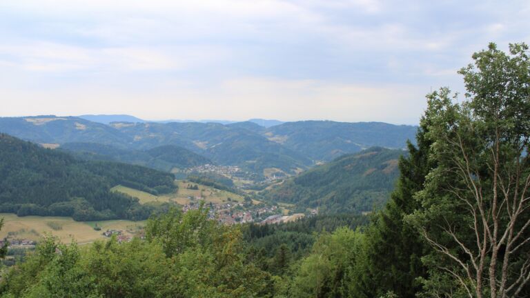 Dieses Bild zeigt eine Webcam-Aufnahme vom Achertal, aufgenommen am Samstag, den 15.08.2026 um 12:50 Uhr. Die Temperatur betrug 28°C.