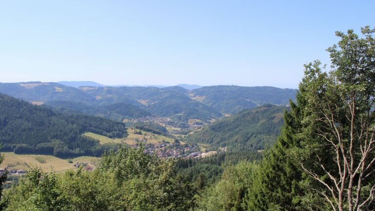 Dieses Bild zeigt eine Webcam-Aufnahme vom Achertal, aufgenommen am Freitag, den 07.08.2026 um 12:20 Uhr. Die Temperatur betrug 24.2°C.