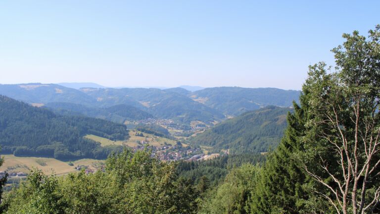 Dieses Bild zeigt eine Webcam-Aufnahme vom Achertal, aufgenommen am Dienstag, den 11.08.2026 um 12:00 Uhr. Die Temperatur betrug 26.8°C.